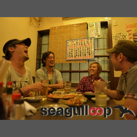 seagulloop