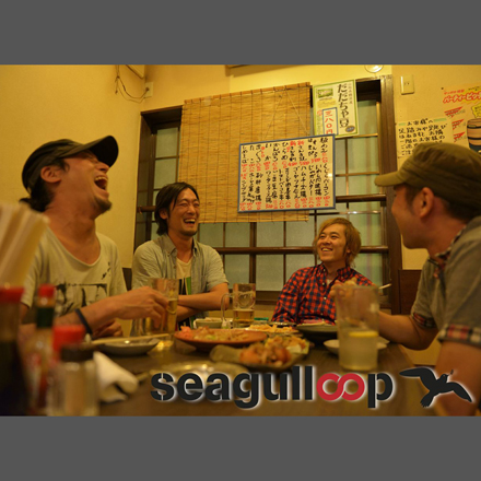 seagulloop
